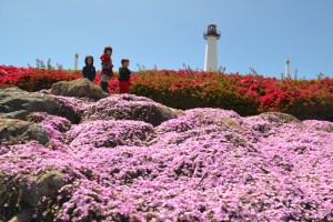 2016-03-29_12:27:43--3916